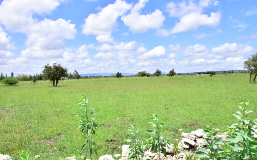 Acacia Kitengela from 1.2km from Namanga rd.