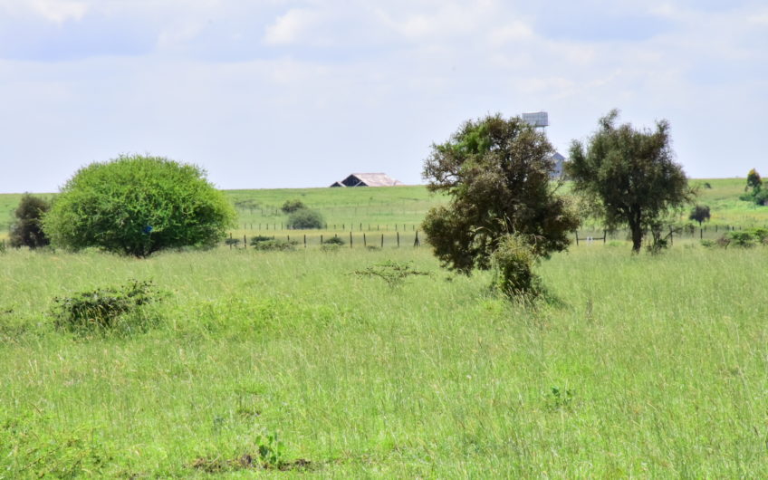 Acacia Kitengela from 1.2km from Namanga rd.